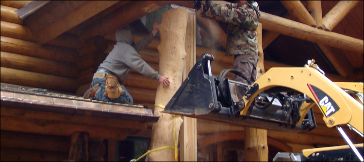 Log Home Log Replacement  Snow Camp,  North Carolina