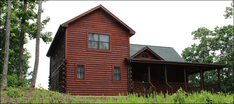 Professional Log Home Borate Application  Alamance,  North Carolina